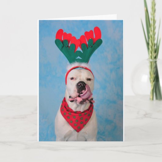 私のエッグノッグはどこにありますか。 シーズンカード (正面)