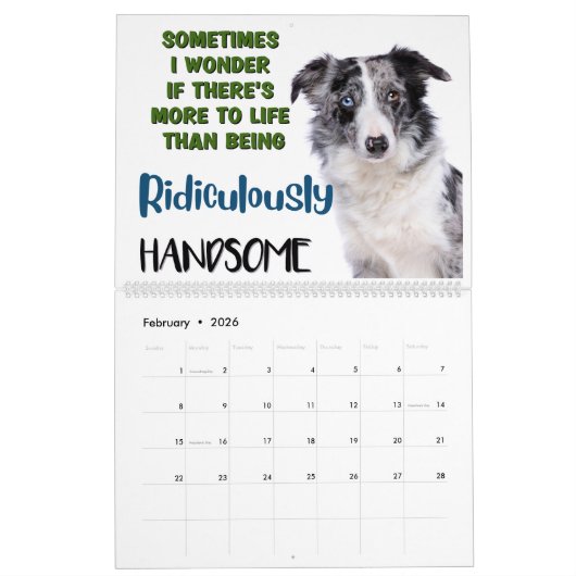 私のオ笑わされるーストラリアの羊飼いの考え カレンダー (2月 2026)