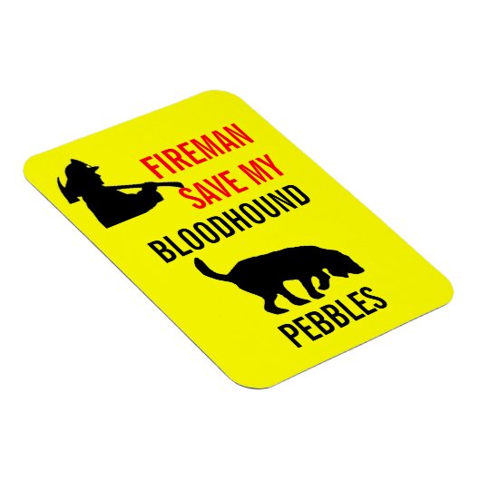 私のカスタム血救気の火気の安全 マグネット (右側)