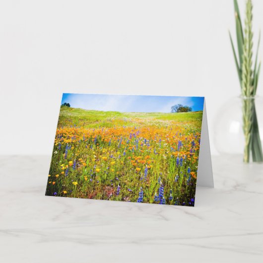 私のカリフォルニア1 カード (正面)