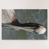 私のカードを見つめるペリカン ジグソーパズル (横)