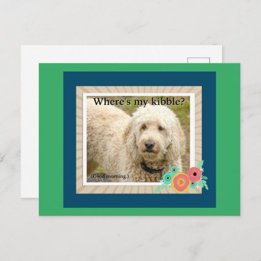 私のキブル、グッドモーニングハガキはどこ ポストカード (正面/裏面)