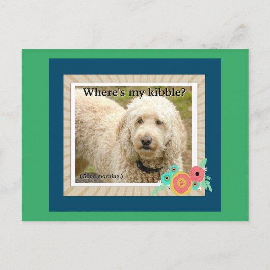 私のキブル、グッドモーニングハガキはどこ ポストカード (正面)