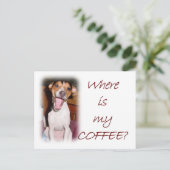 私のコーヒーは？ ポストカード (スタンド正面)