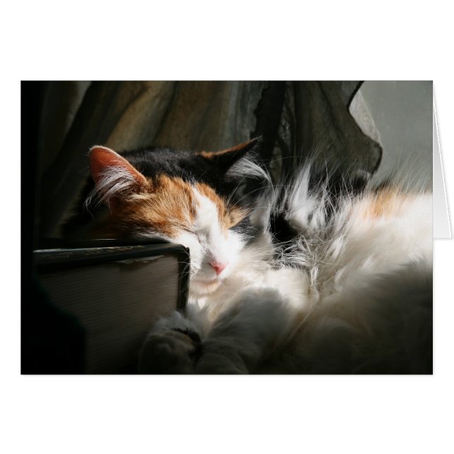 私のサンビーム (正面横)