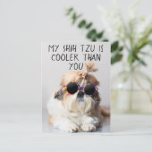 私のシーズー(犬)Tzuはクールあなたのサングラス写真より ポストカード (スタンド正面)