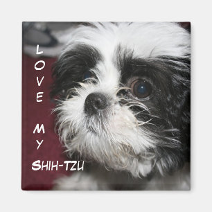 私のシーズー(犬)Tzuを愛して下さい マグネット
