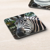 私のステッピーな友人 コースター (左側)