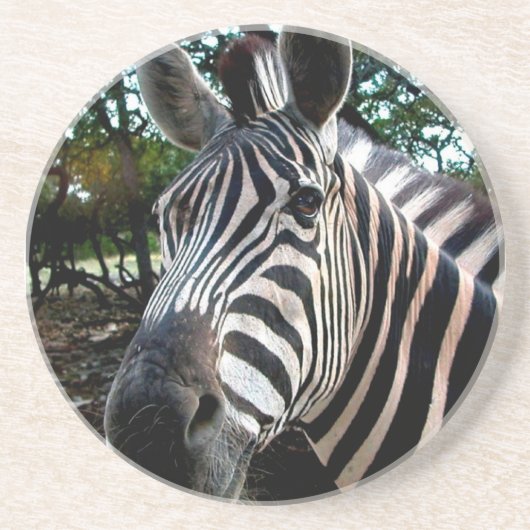 私のステッピーな友人 コースター (正面)