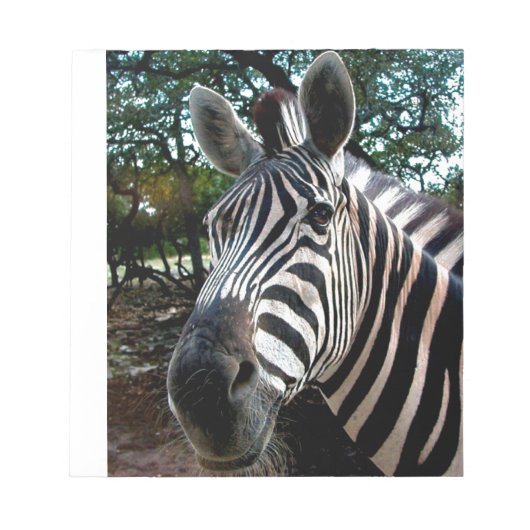 私のステッピーな友人 ノートパッド (正面)