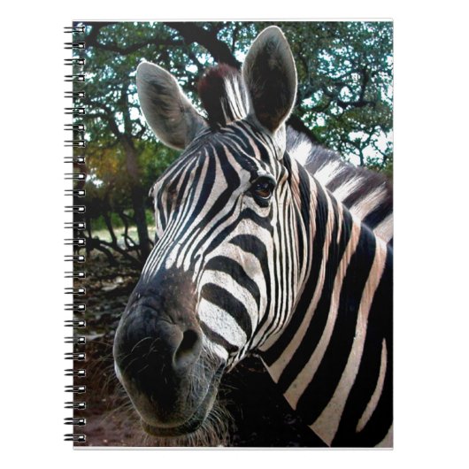 私のステッピーな友人 ノートブック (正面)