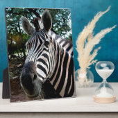 私のステッピーな友人 フォトプラーク (側面)