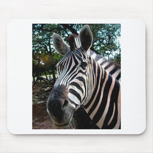 私のステッピーな友人 マウスパッド (正面)