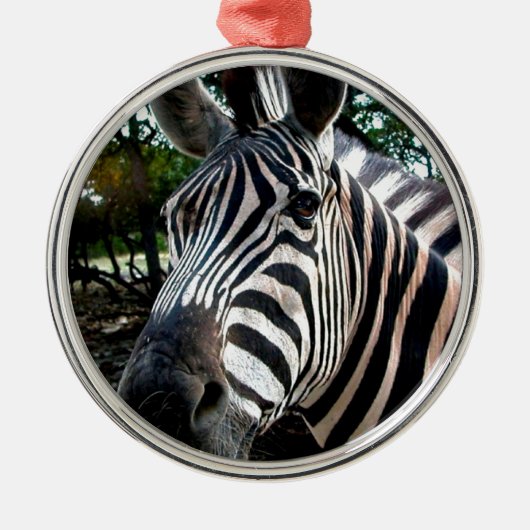 私のステッピーな友人 メタルオーナメント (正面)