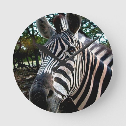 私のステッピーな友人 ラウンド壁時計 (正面)