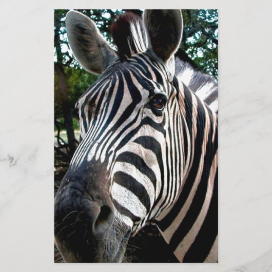 私のステッピーな友人 便箋 (正面)