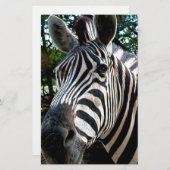 私のステッピーな友人 便箋 (正面/裏面)