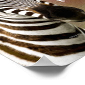 私のゼブラ食べが宿題教室のポスター ポスター (角)