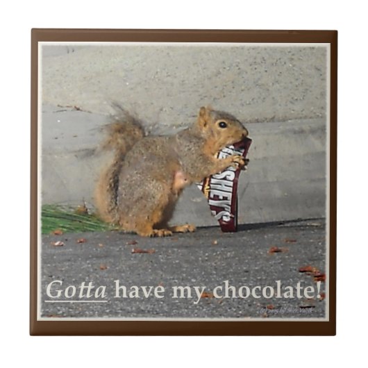 私のチョコレート装飾的なタイルを持つために得られる タイル (正面)