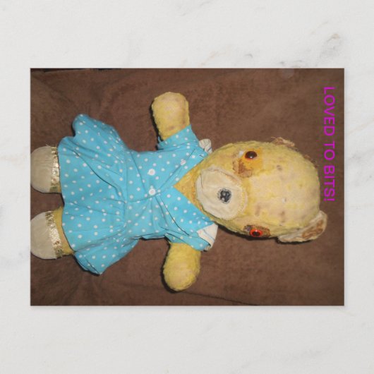 私のテディベアはポストカードにポーズを取る ポストカード (正面)