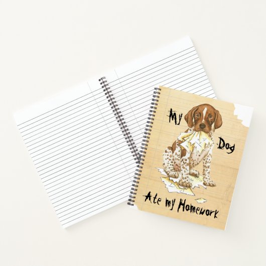 私のドイツ語の短いポインタ食べが私のレッスンプラン ノートブック (内部)