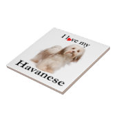 私のハバニーズのタイルを愛する タイル (側面)