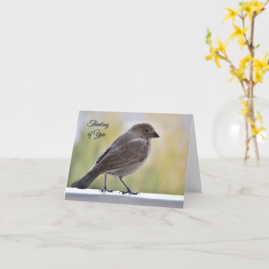 私のハートと祈りの言葉の考え中で閉じる – カード (黄色い花)