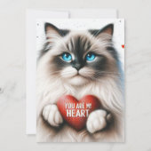 私のハートのバレンタイン詩 ラグドール猫 シーズンカード (正面)