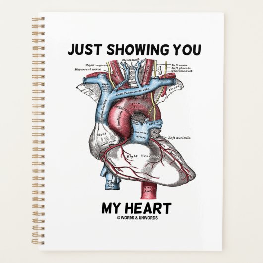 私のハート解剖学的ハート プランナー手帳 (正面)