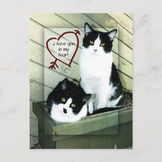 私のハート ポストカード (正面)