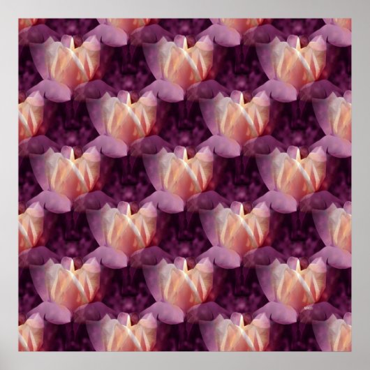 私のバラベッド….. ポスター (正面)