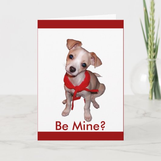 私のバレンタインがあって下さいか。 シーズンカード (正面)