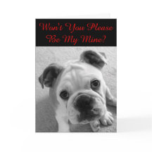 私のバレンタインになって下さい