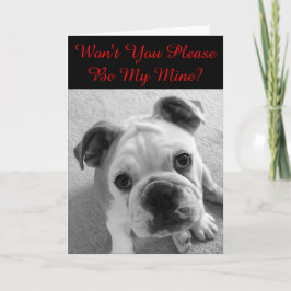 私のバレンタインになって下さい シーズンカード