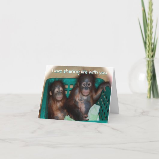 私のバレンタインの甘い赤ん坊の動物の写真 シーズンカード (正面)