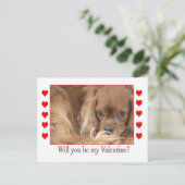 私のバレンタインデースパニエル犬はがき シーズンポストカード (スタンド正面)