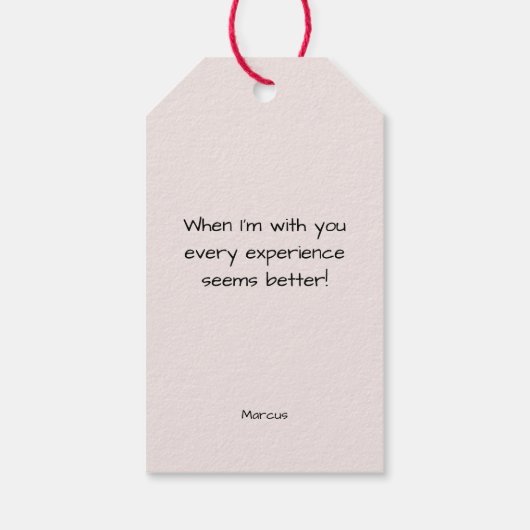 私のバレンタインピンクミニマルのハート ギフトタグ (裏面)