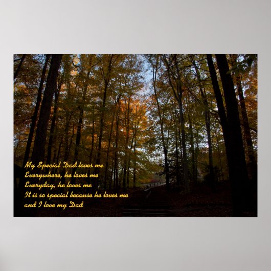 私のパパ ポスター (正面)