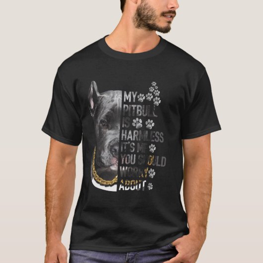私のピットブルは無害だAbを心配するべきだ Tシャツ (正面)