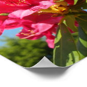 私のプリンセス、私の妻 ポスター (角)