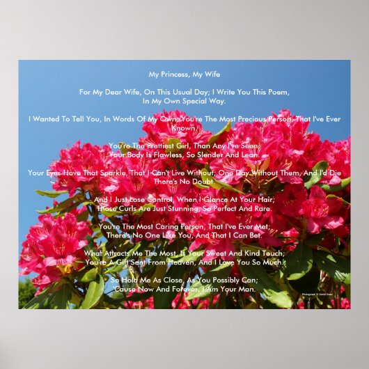 私のプリンセス、私の妻 ポスター (正面)