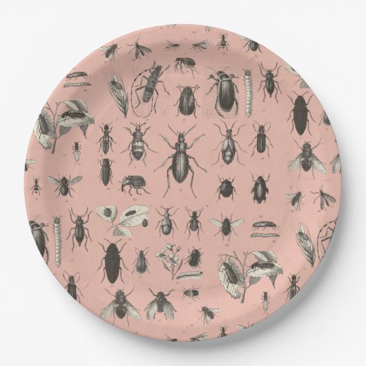 私のプレートのYikesの虫 ペーパープレート (正面)