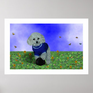 私のプードルと彼のボール。 ポスター