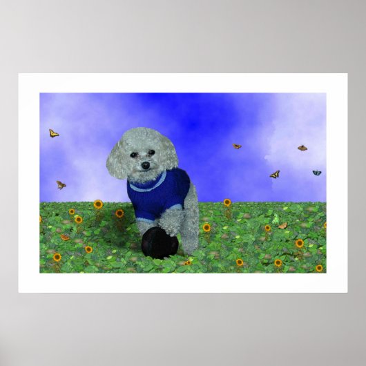 私のプードルと彼のボール。 ポスター (正面)