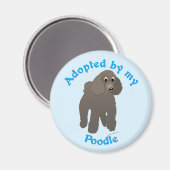 私のプードルに採用 マグネット (正面/裏面)