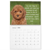 私のプードルカレンダーの感想 カレンダー (1月 2026)