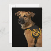 私のベストを採用した茶色の救助犬 ポストカード (正面/裏面)