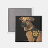 私のベストを採用した茶色の救助犬 マグネット (正面/裏面)