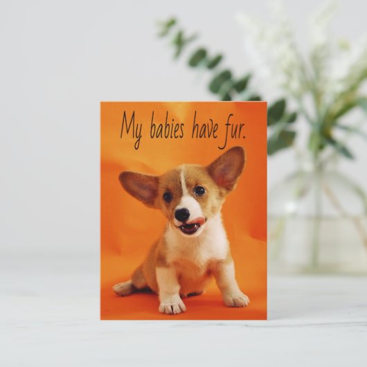 私のベビーは毛皮の犬、かわいい子犬、子犬を持っている ポストカード (スタンド正面)