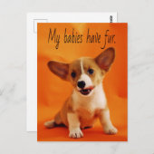 私のベビーは毛皮の犬、かわいい子犬、子犬を持っている ポストカード (正面/裏面)